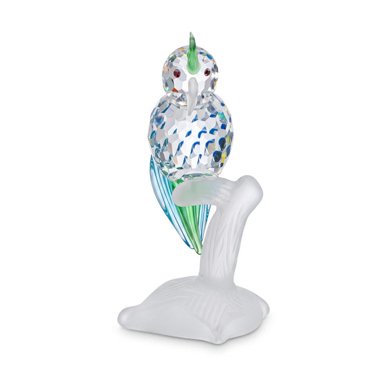 Colorful Parrot - Multi-Color