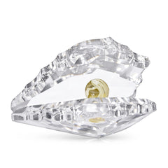Shell - Clear - Medium - Asfour Crystal
