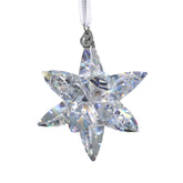 عصفور كريستال نجمة معلقة 2024/14 AB