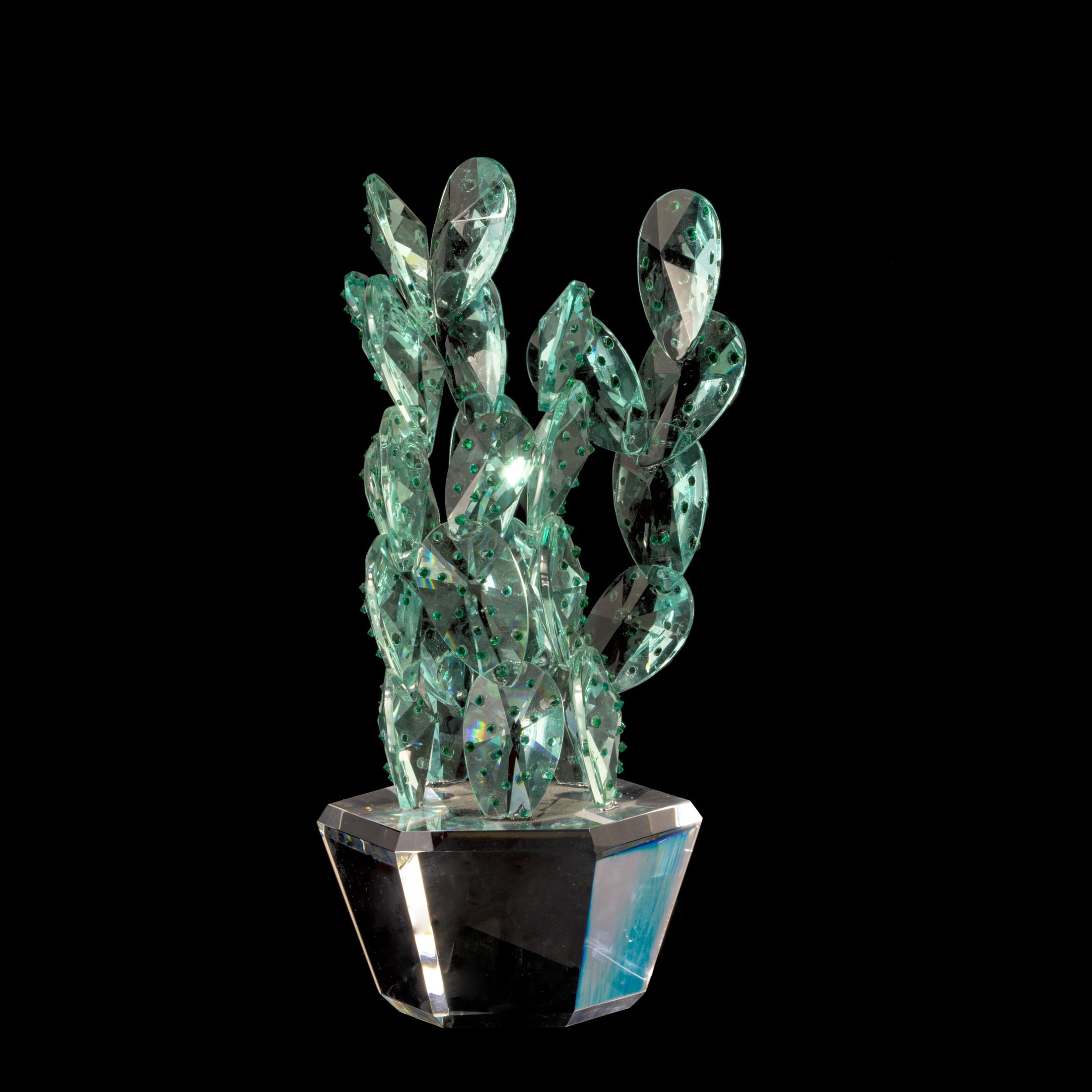 Aloe Vera����������������������������