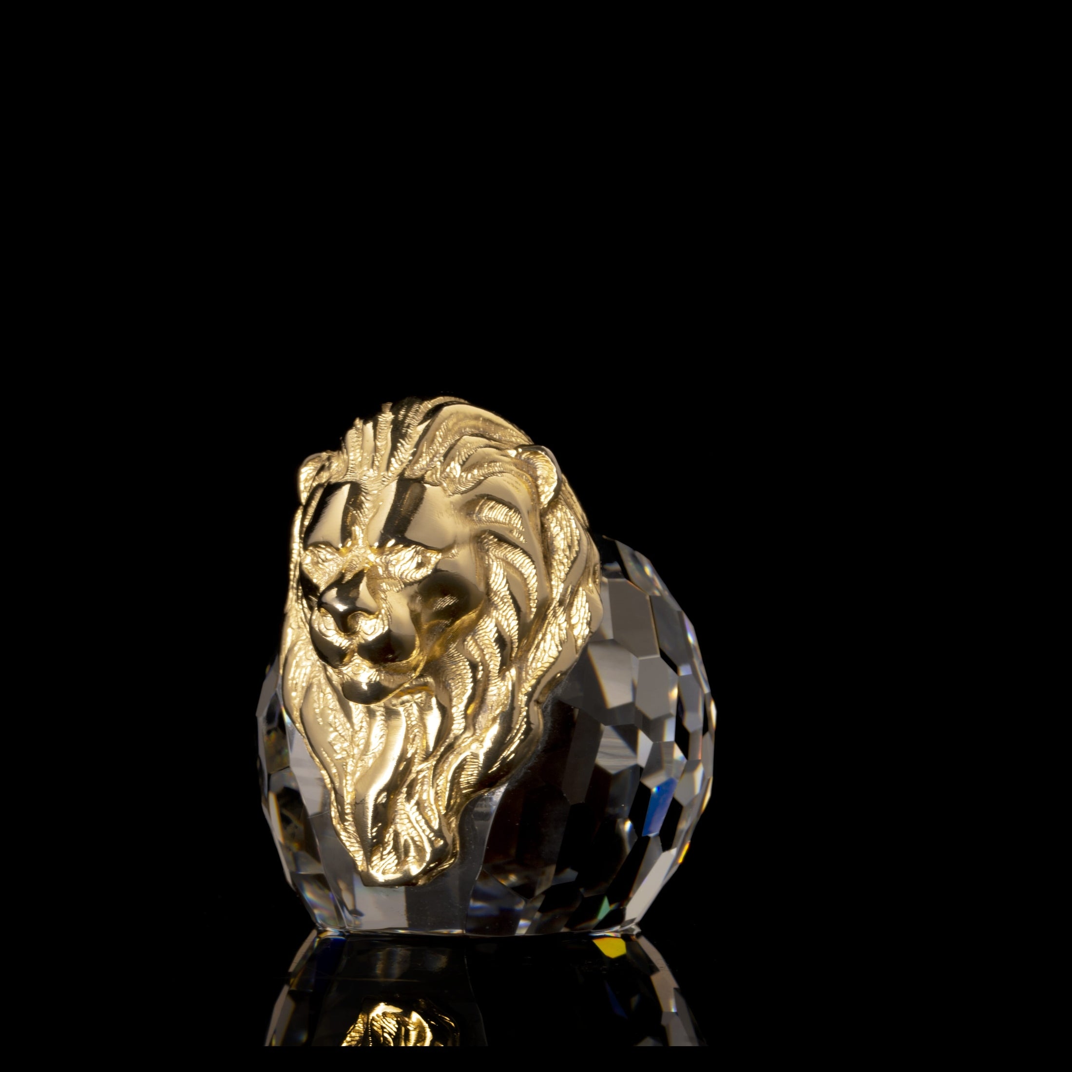 Lion��������������������������