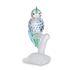 Colorful Parrot - Multi-Color