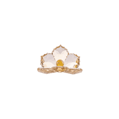 Shell - Golden Shadow - Medium - Asfour Crystal