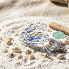 Shell - Clear - Small - Asfour Crystal
