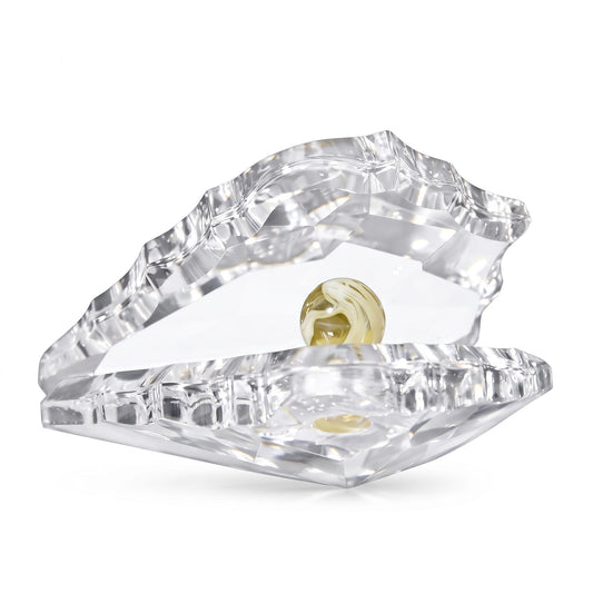 Shell - Clear - Medium - Asfour Crystal