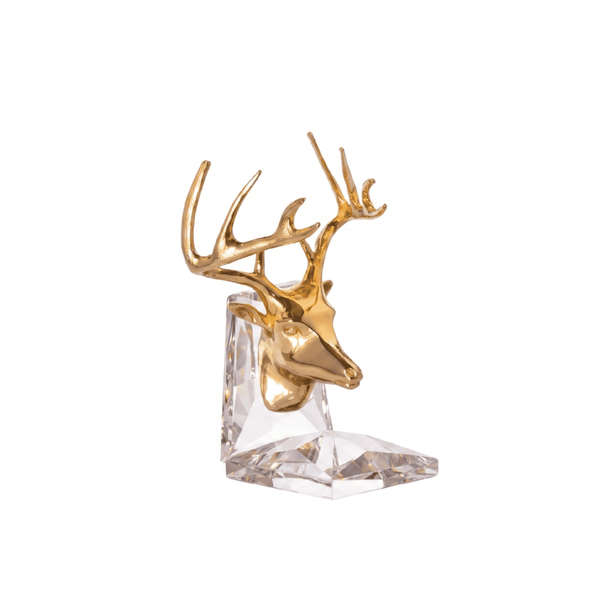 Asfour Crystal Gazelle – 8/7/12