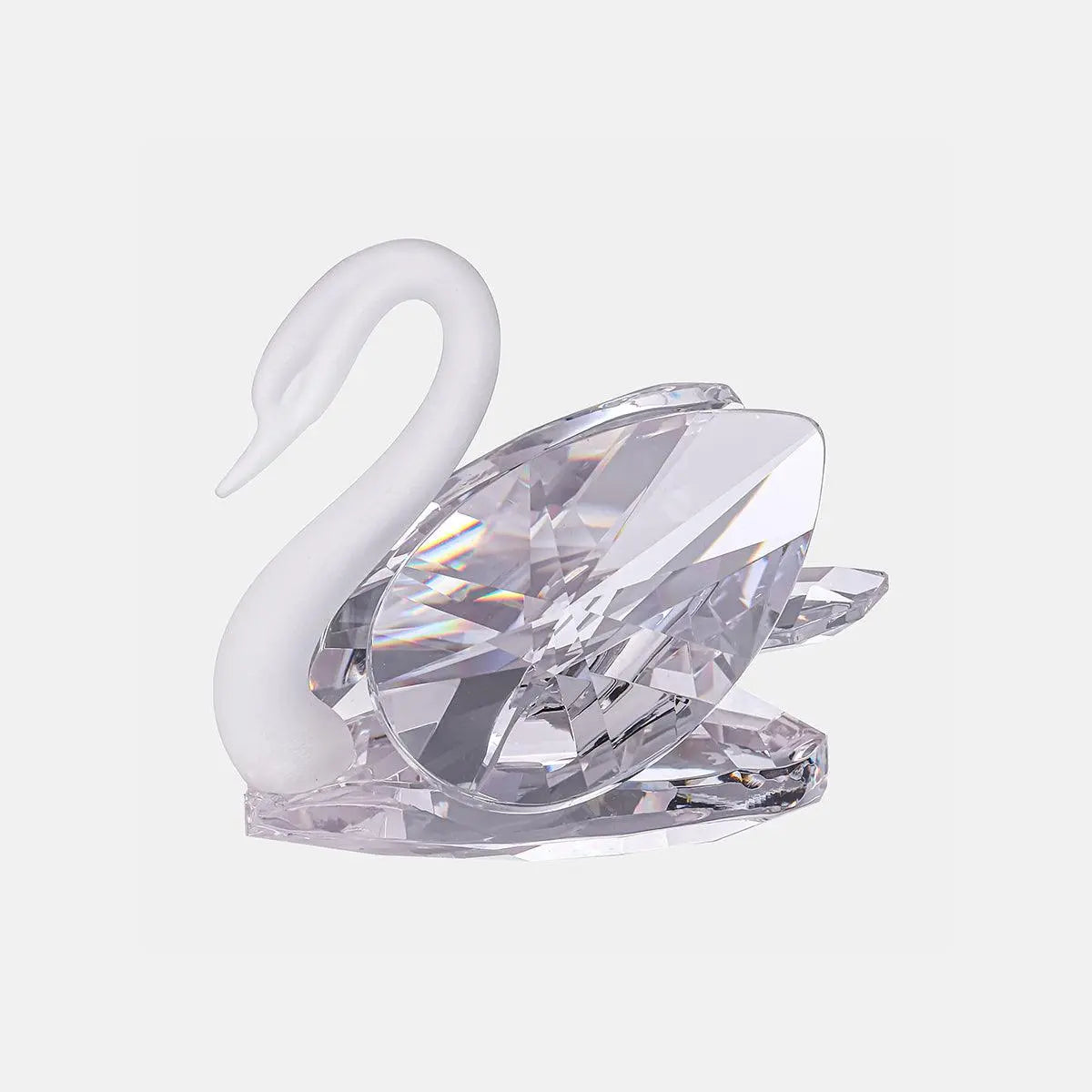 Swan - Clear - Medium