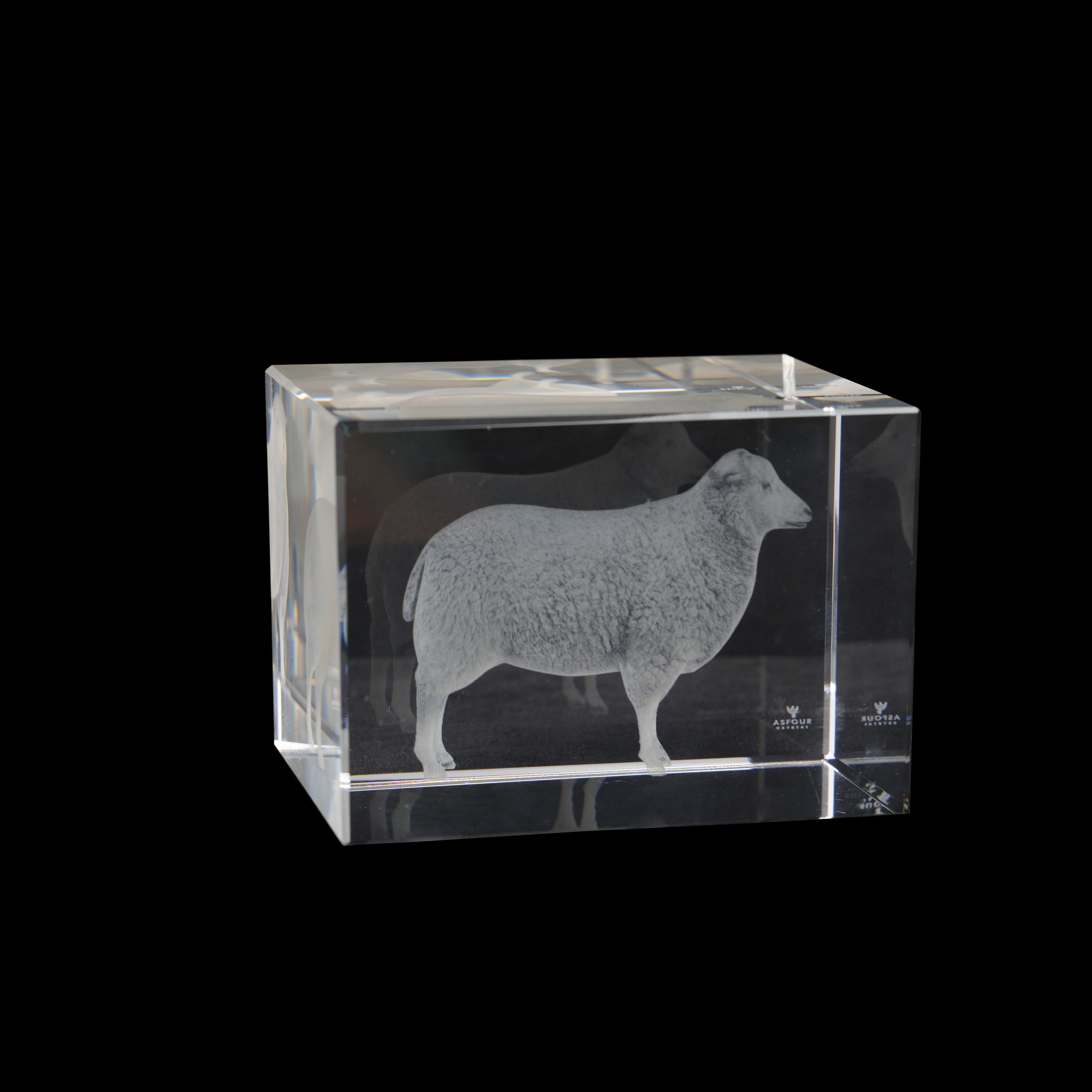 Sheep Cube 1159/70 (3D)