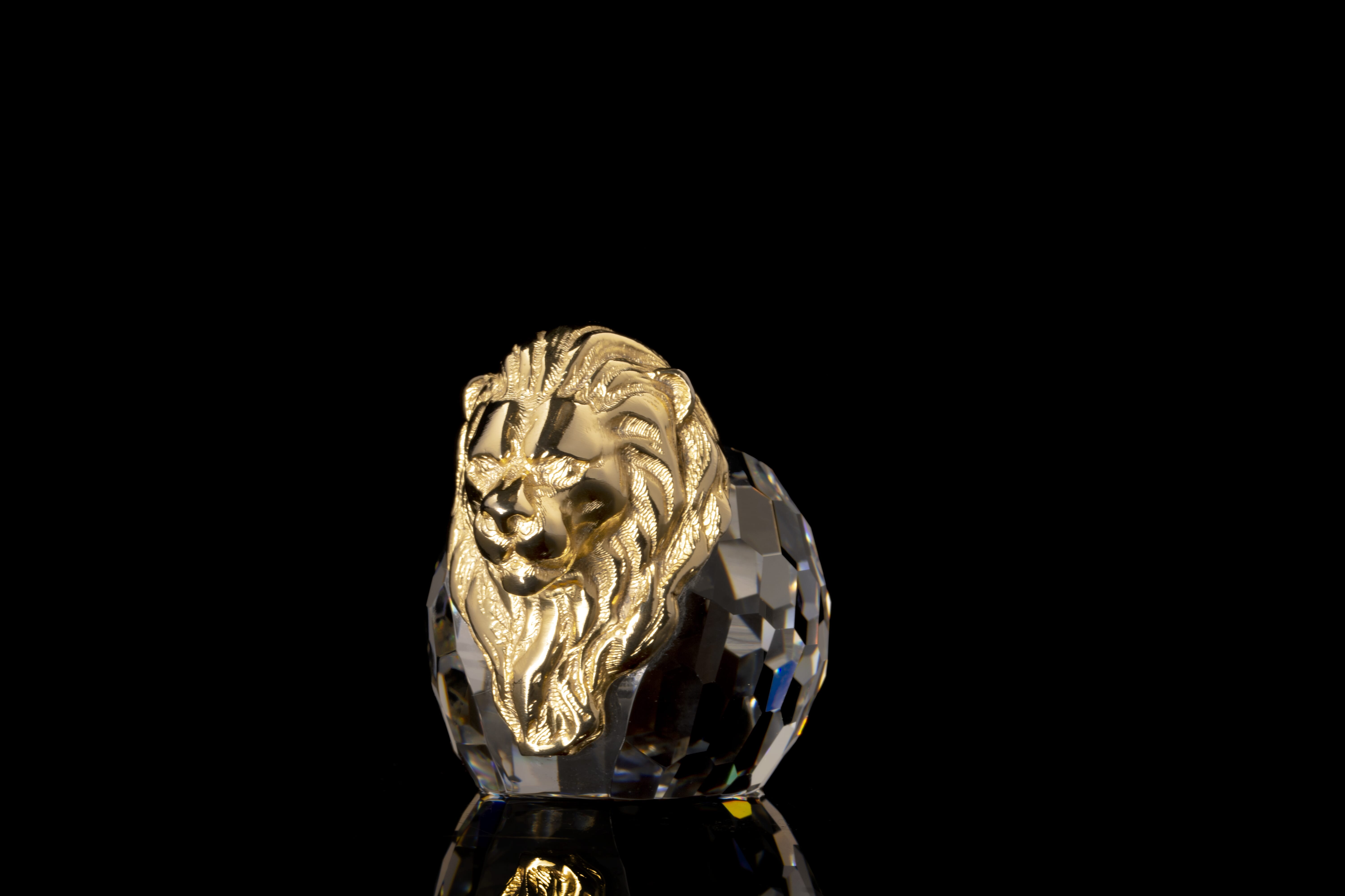 Lion  4*6 Transparent Gold