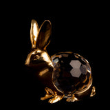 Golden Rabbit 50/756